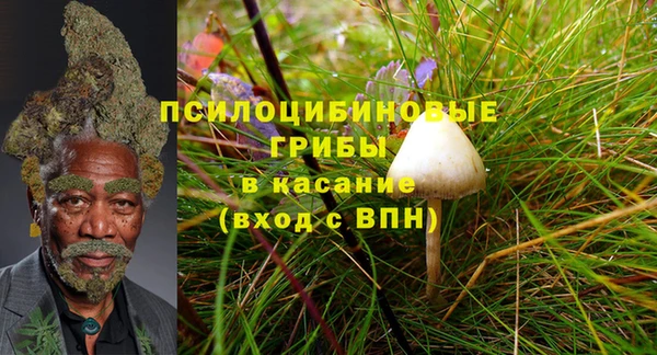 дурь Лихославль