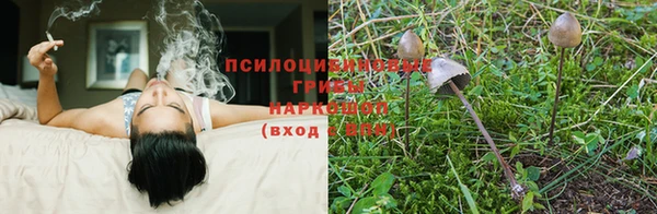 наркотики Алексин