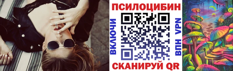 Псилоцибиновые грибы Psilocybine cubensis  Красногорск 